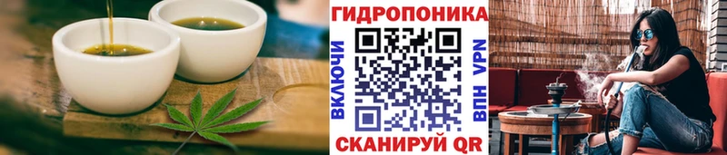 купить закладку  Заречный  Cannafood конопля 