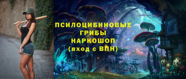 spice Бежецк