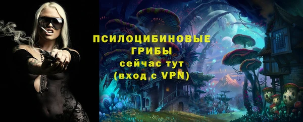 бошки Аша