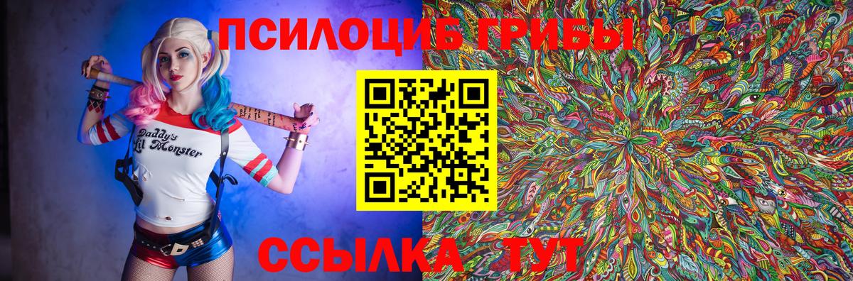 Псилоцибиновые грибы Psilocybine cubensis  Вход с VPN  Псилоцибиновые грибы Psilocybine cubensis  Заречный 