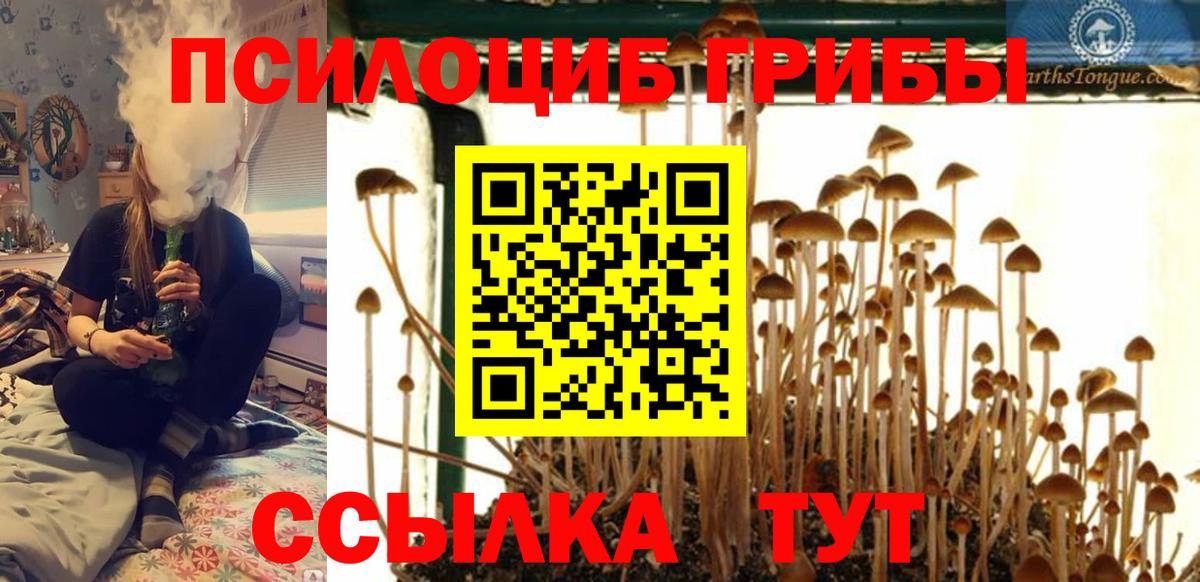 даркнет сайт  Заречный  Псилоцибиновые грибы мухоморы 