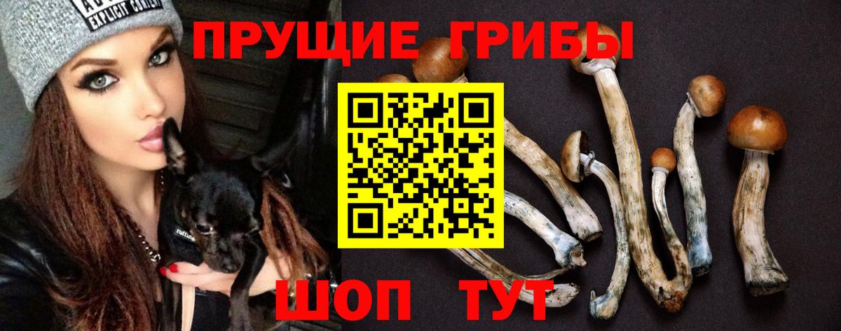 Канабис  МЕФ   Экстази  Гашиш  MDMA  Codein  Заречный  Кокаин  Меф кристаллы  Alpha PVP СОЛЬ кристаллы 